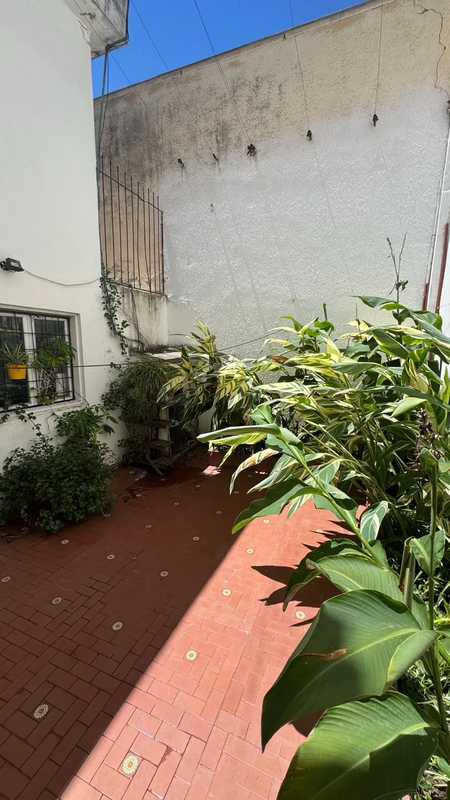 Dúplex 4 dormitorios con patio propio — foto 20 de 20