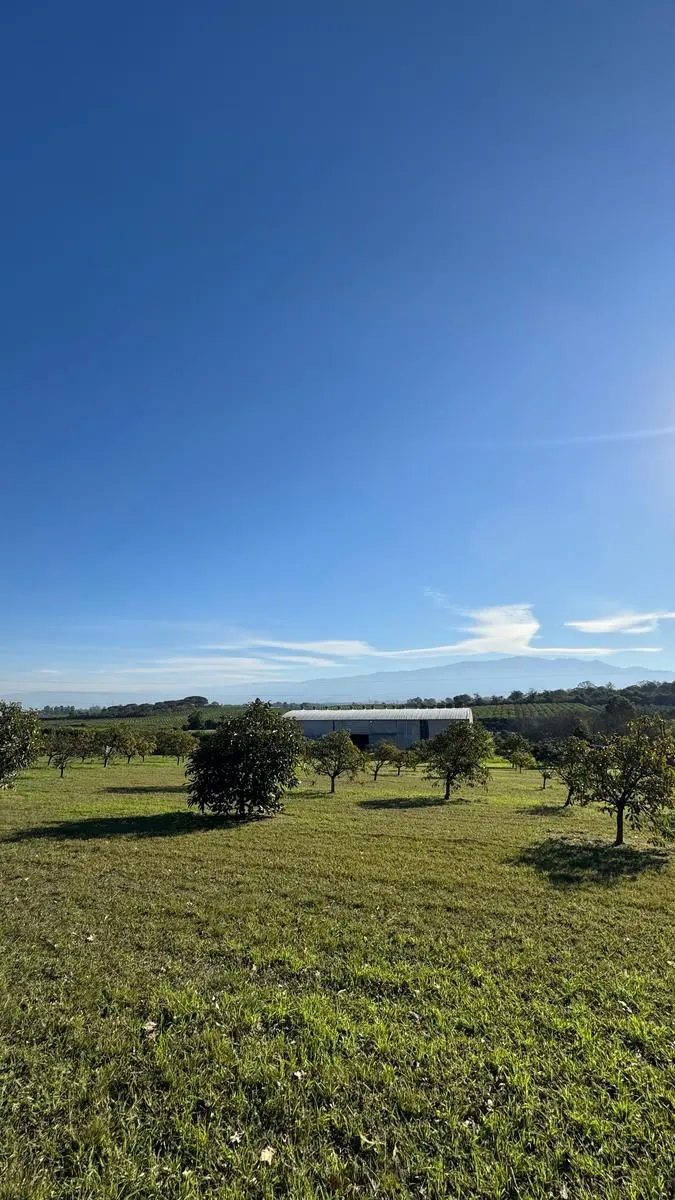 Galpón Los Nogales sobre 21.000 m² — foto 3 de 9